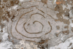 IMG_20231208_112926x