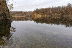 IMG_20231208_113154x