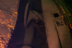 Ronny_DSC_1532-NEF_DxO_DeepPRIMEXD