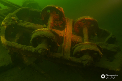 Ronny_DSC_1536-NEF_DxO_DeepPRIMEXD-1