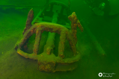 Ronny_DSC_1542-NEF_DxO_DeepPRIMEXD-1