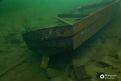 Ronny_DSC_1556-NEF_DxO_DeepPRIMEXD-1