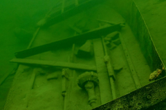 Ronny_DSC_1557-NEF_DxO_DeepPRIMEXD-1