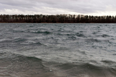 IMG_20231221_142206x