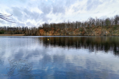 IMG_20231222_122049x