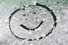 IMG_20231222_142126x