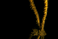 DSC06962x