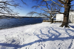 IMG_20240119_115327x