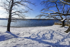 IMG_20240119_115339x