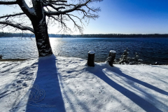 IMG_20240119_132012x