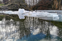 IMG_20240123_133346x