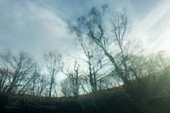 DSC07378x