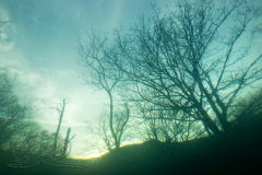 DSC07380x