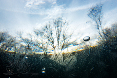 DSC07397x