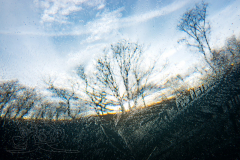 DSC07398x
