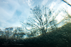 DSC07402x