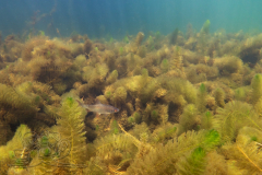 DSC07538x