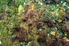 DSC07574x