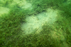 DSC07579x