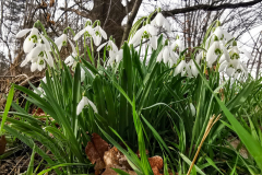 IMG_20240226_142937x