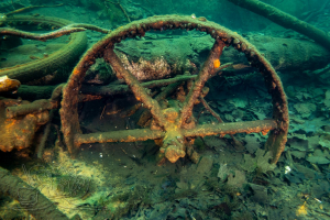 240306 Gewässererkundung