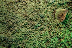 DSC07774x