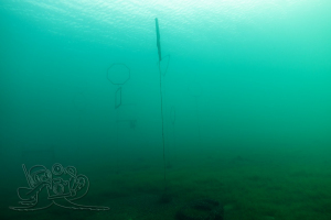 240307 Cospudener See