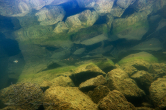 DSC07999x