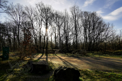 IMG_20240317_080839x