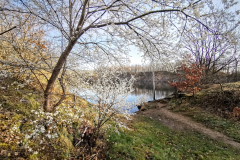 IMG_20240317_080928x