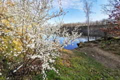 IMG_20240317_081007x