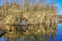 IMG_20240317_081309x