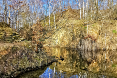 IMG_20240317_081319x