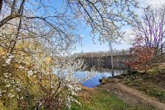 IMG_20240317_081433x