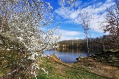 IMG_20240317_101645x