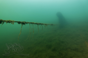 240325 Moritzsee
