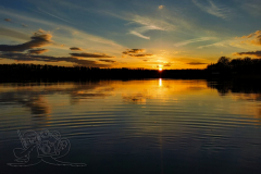 IMG_20240325_181856x
