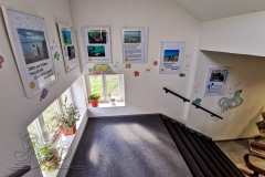 IMG_20240404_160550x