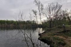IMG_20240407_080424x