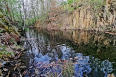 IMG_20240407_080602x