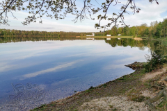 IMG_20240413_080320x