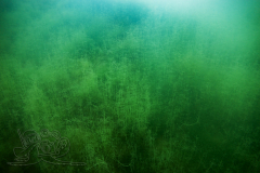 DSC09543x