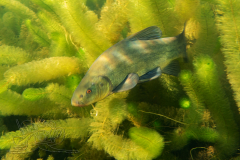 DSC01777x