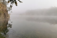 IMG_20241015_085951x