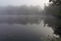 IMG_20241015_090016x