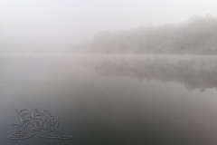 IMG_20241015_090029x