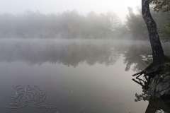 IMG_20241015_090053x