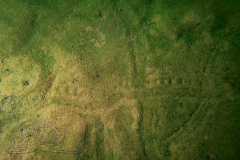 DSC02477x