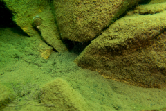 DSC02500x