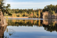 IMG_20241018_104656x